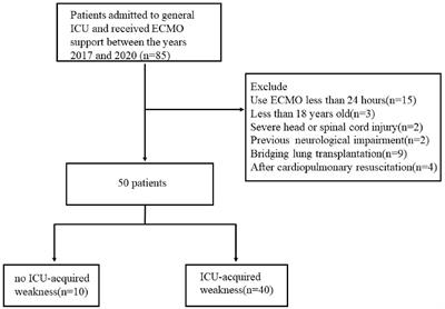 Intensive Care Unit-Acquired Weakness in Patients With Extracorporeal Membrane Oxygenation Support: Frequency and Clinical Characteristics